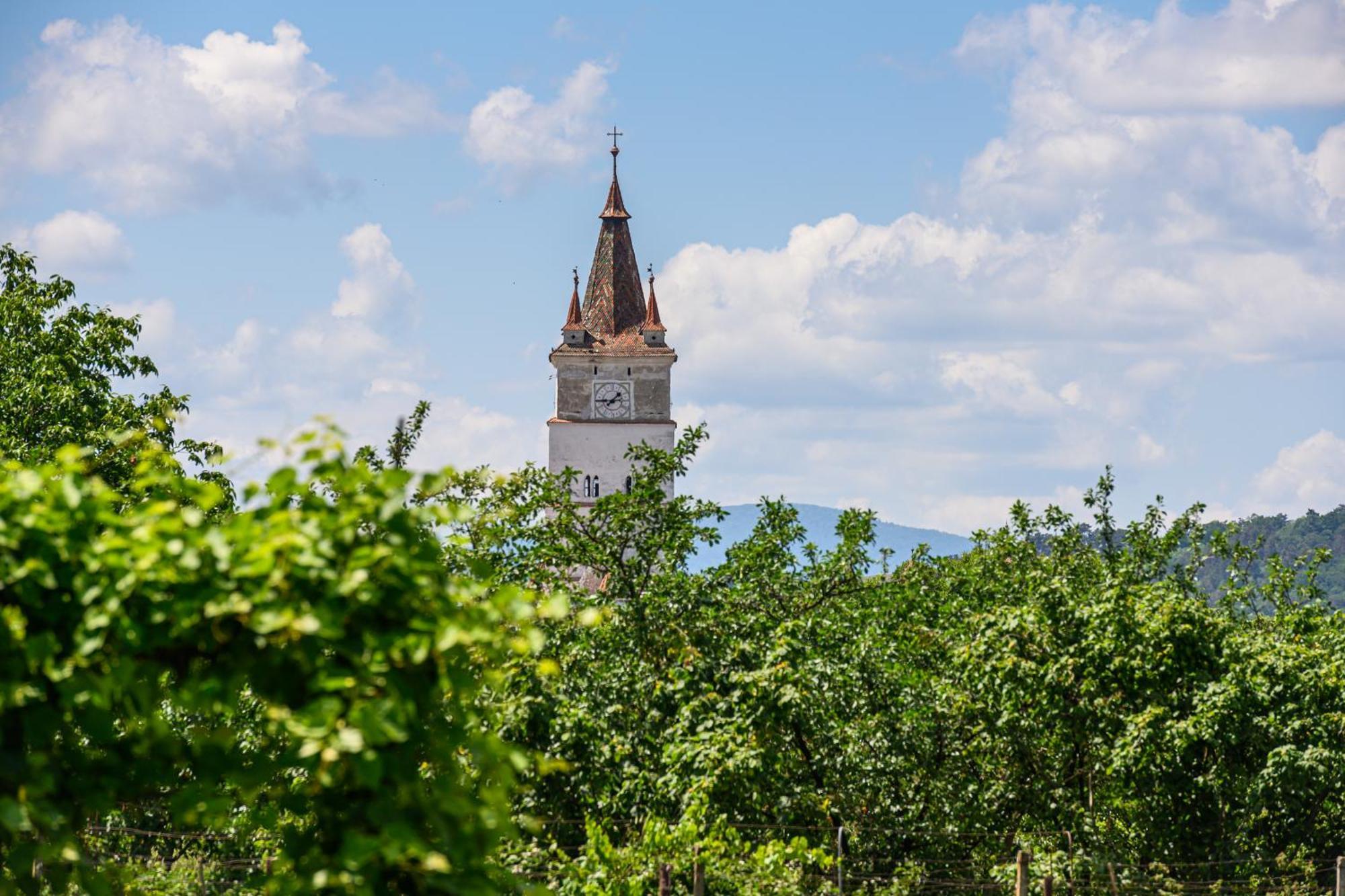 Pensiunea Roma Antica Hărman エクステリア 写真